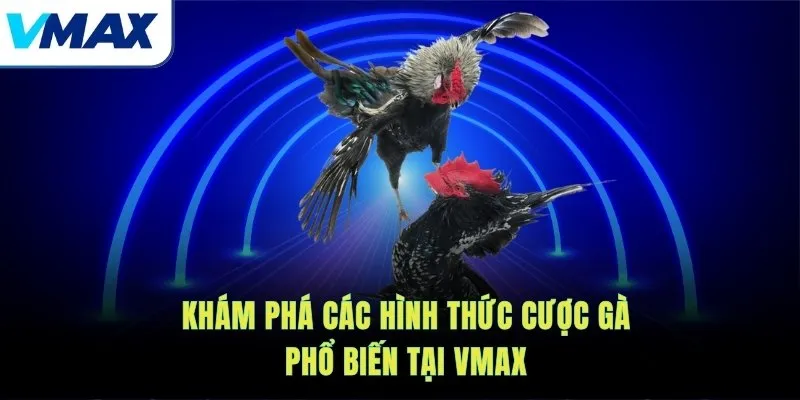 đá gà hình thức