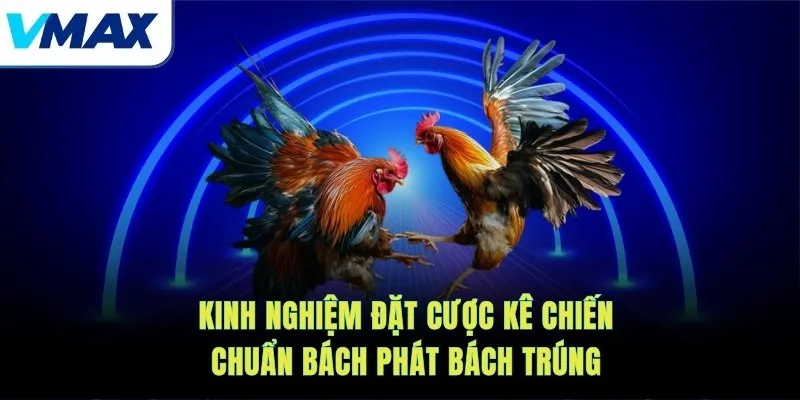 đá gà kinh nghiệm