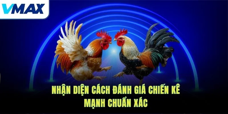 Nhận diện cách đánh giá chiến kê mạnh chuẩn xác