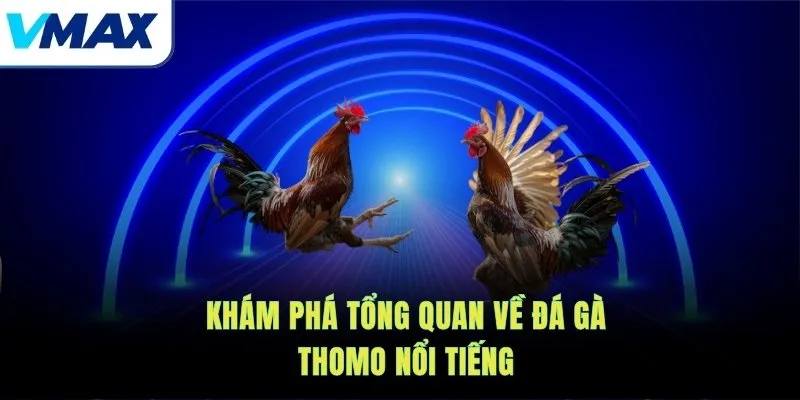 Khám phá tổng quan về đá gà Thomo nổi tiếng